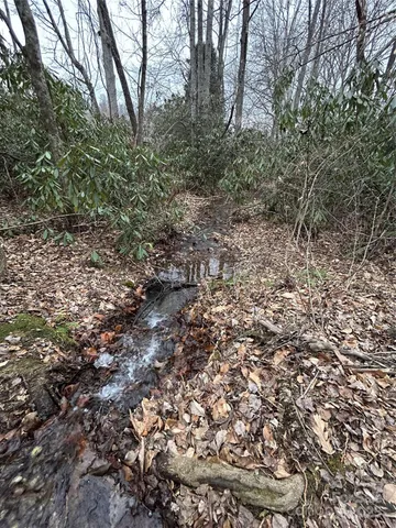 $1,400,000 | 0 Lytle Cove Road, Swannanoa, NC 28778