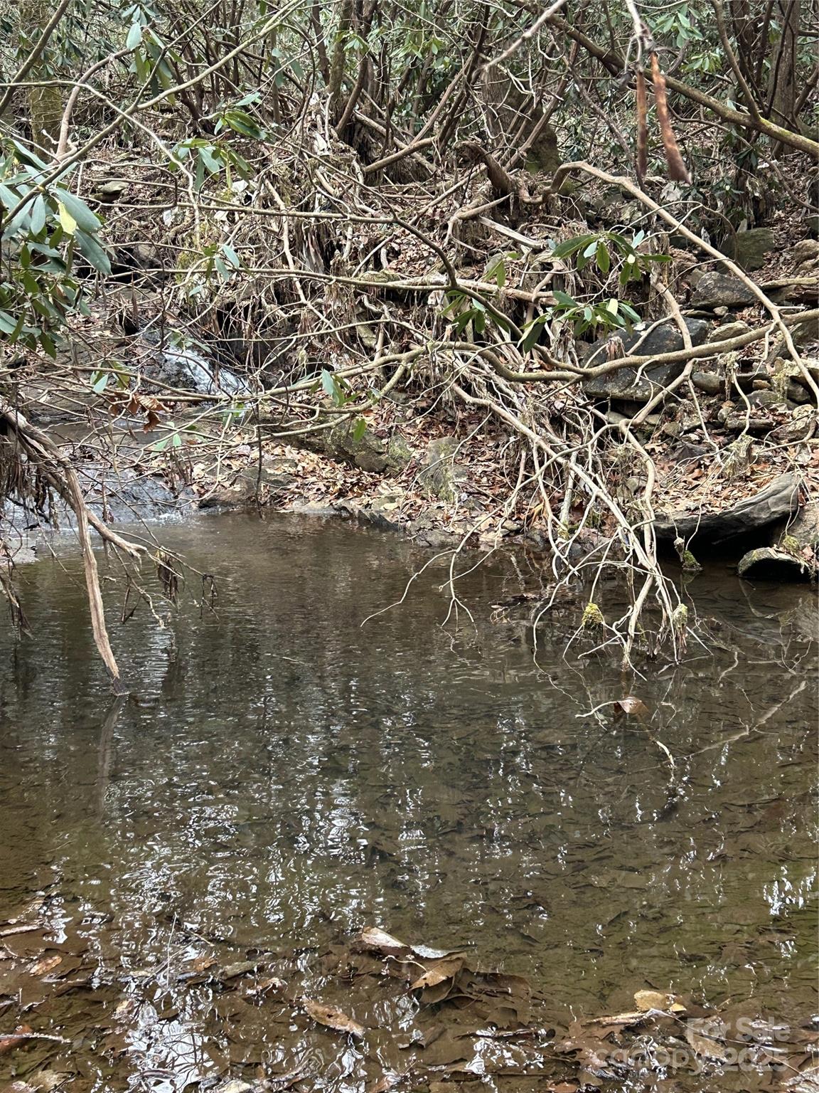 0 Lytle Cove Road Swannanoa, NC 28778 - Photo 29 of 35