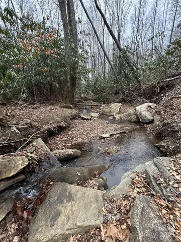 $1,400,000 | 0 Lytle Cove Road, Swannanoa, NC 28778