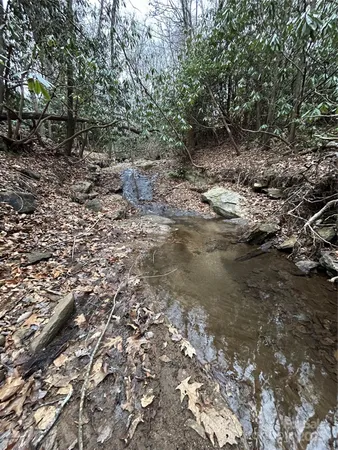 $1,400,000 | 0 Lytle Cove Road, Swannanoa, NC 28778