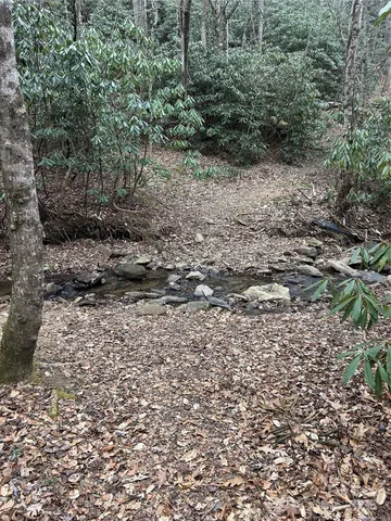 $1,400,000 | 0 Lytle Cove Road, Swannanoa, NC 28778