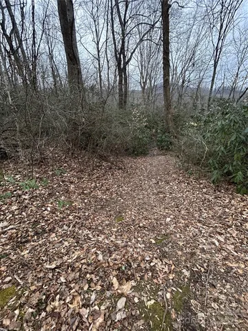 $1,400,000 | 0 Lytle Cove Road, Swannanoa, NC 28778