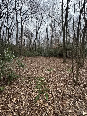 $1,400,000 | 0 Lytle Cove Road, Swannanoa, NC 28778