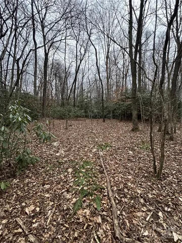 $1,400,000 | 0 Lytle Cove Road, Swannanoa, NC 28778