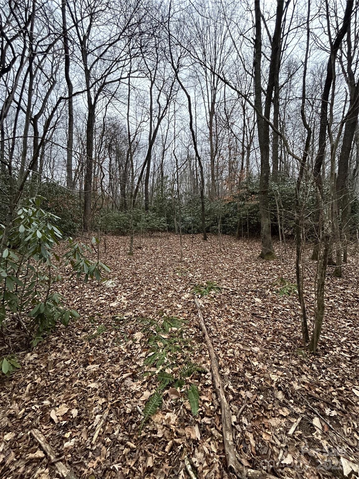 0 Lytle Cove Road Swannanoa, NC 28778 - Photo 8 of 35