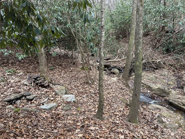 $1,400,000 | 0 Lytle Cove Road, Swannanoa, NC 28778