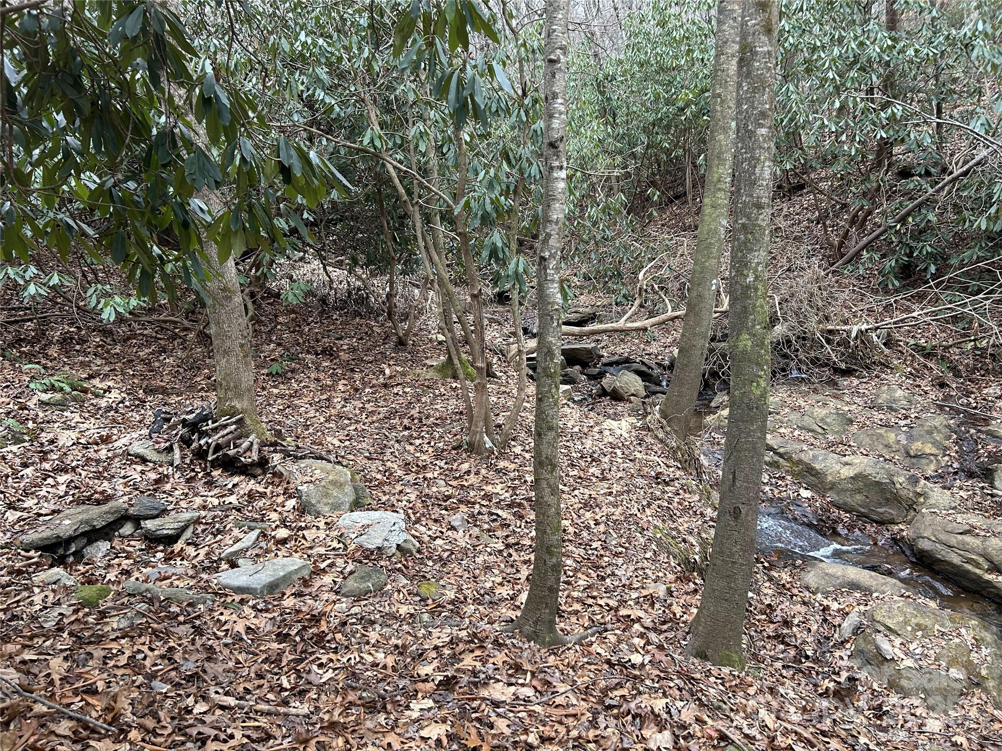 0 Lytle Cove Road Swannanoa, NC 28778 - Photo 9 of 35