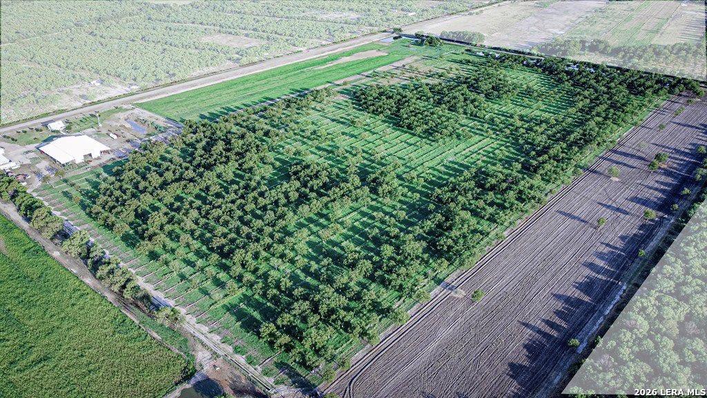 Lot A Fm 1908 Quemado, TX 78877 - Photo 5 of 8