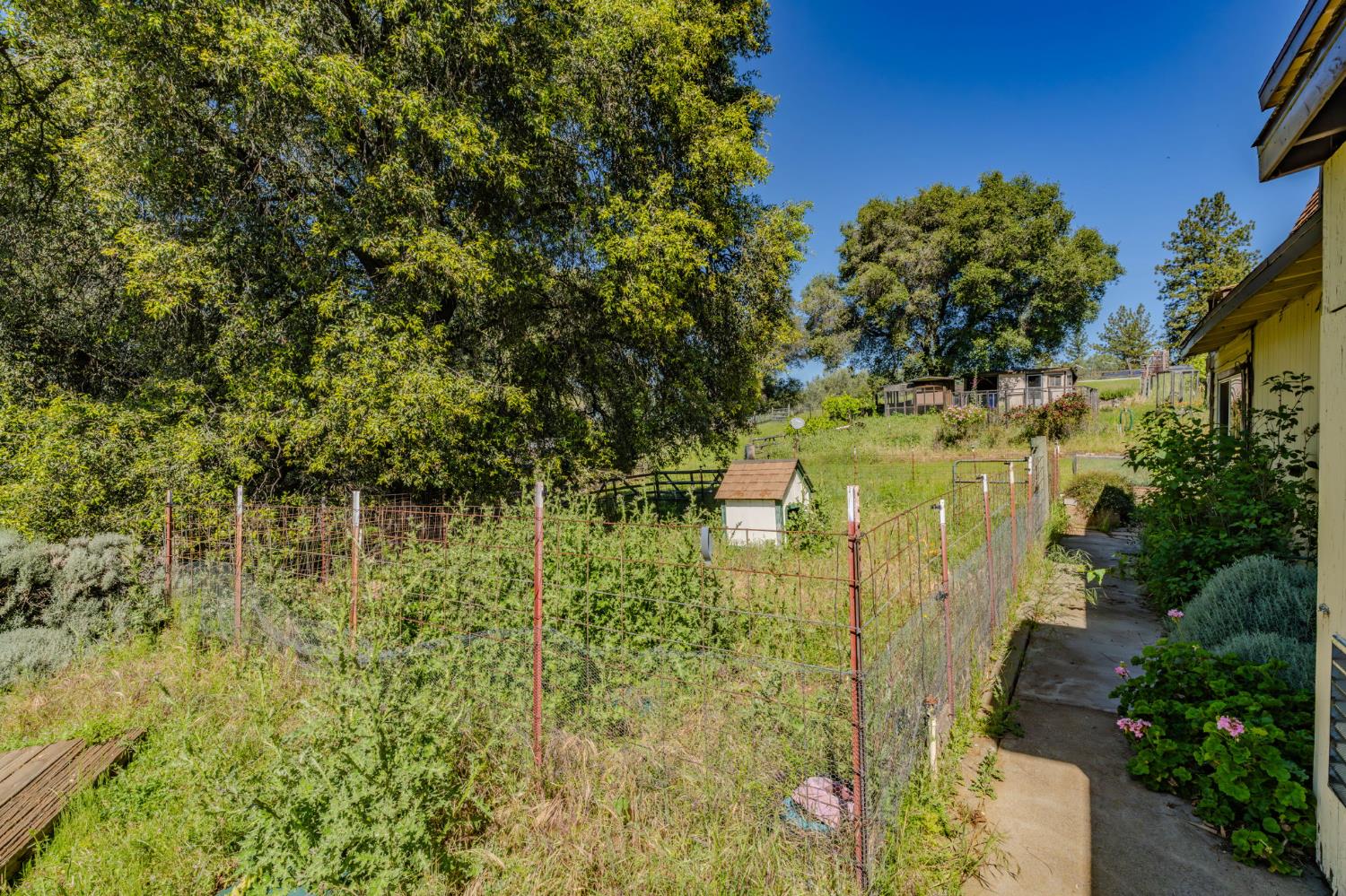 17800 Red Mule Road Fiddletown, CA 95629 - Photo 64 of 74 Gallery Image 64