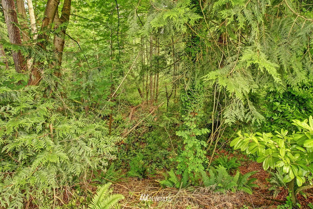 13814 Southeast 141st Street Renton, WA 98059 - Photo 20 of 20 Gallery Image 20