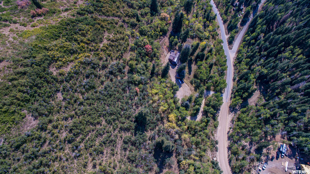 1644 West Tollgate Cyn Road, Unit 79AM Coalville, UT 84017 - Photo 24 of 31 Winding road surrounded by dense forest