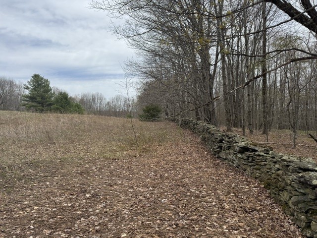 Lot 4 Shaver Hill Road Meridale, NY 13806 - Photo 7 of 44