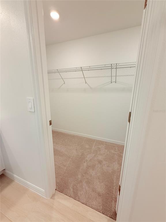 17602 Pleasantview Boulevard Land O Lakes, FL 34638 - Photo 18 of 27 close up view of shower