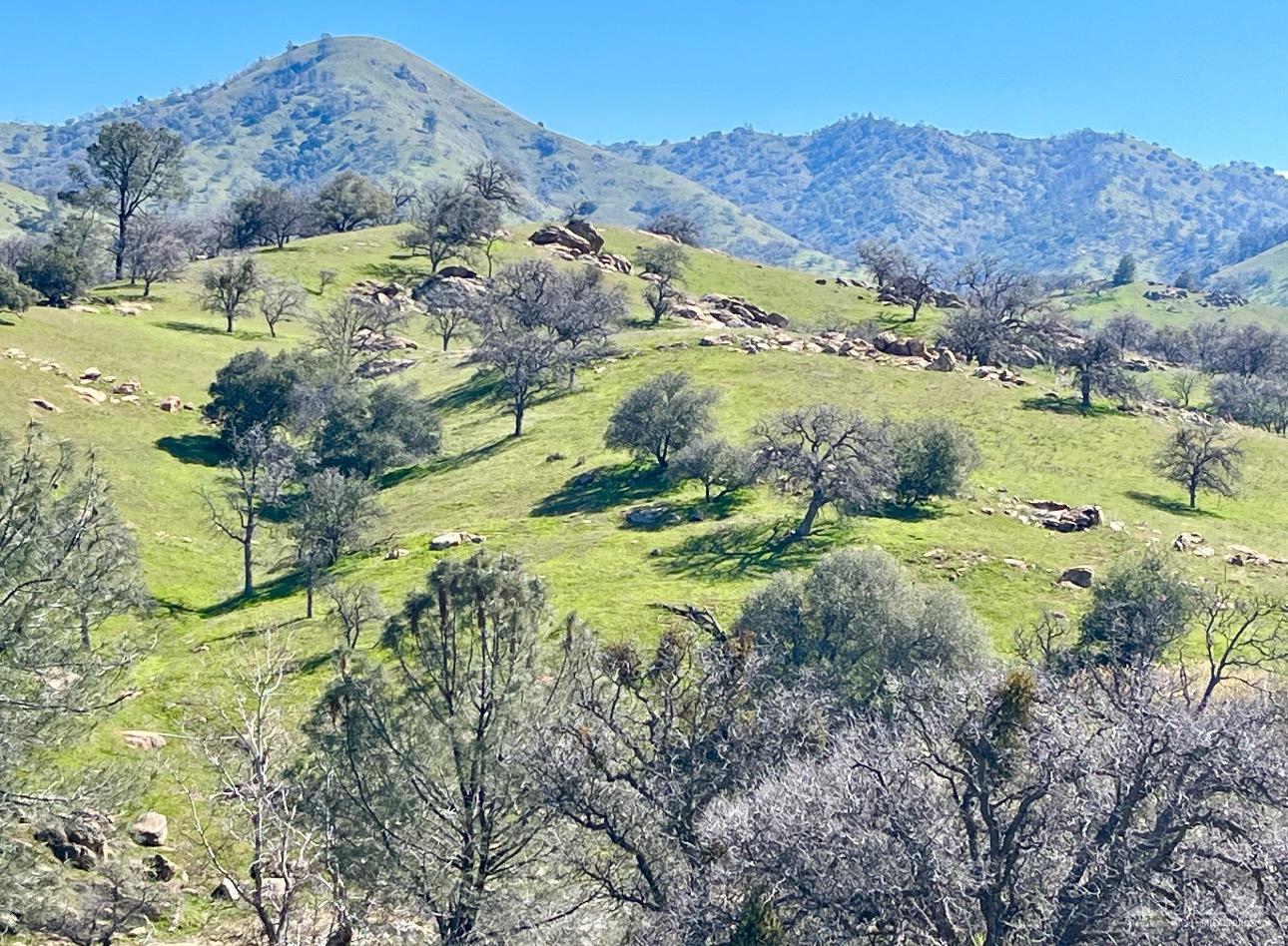 0 Woodford-Tehachapi Road Keene, CA 93531 - Photo 10 of 10 Surrounding hills, view from property