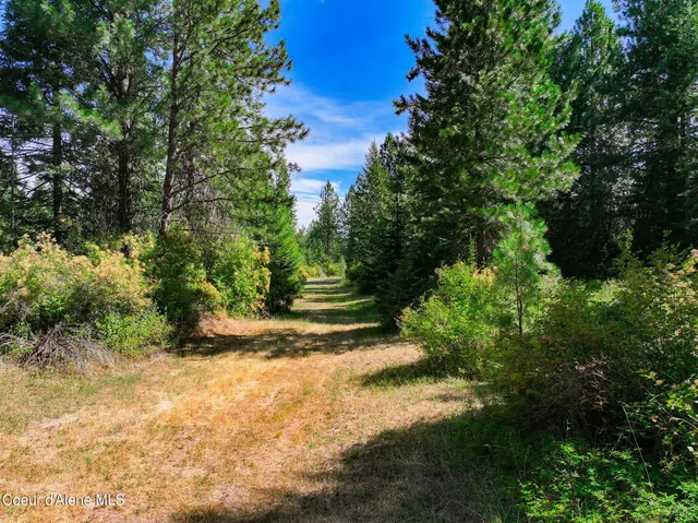 $349,000 | 97 South Harrison Id 83833, Harrison, ID 83833