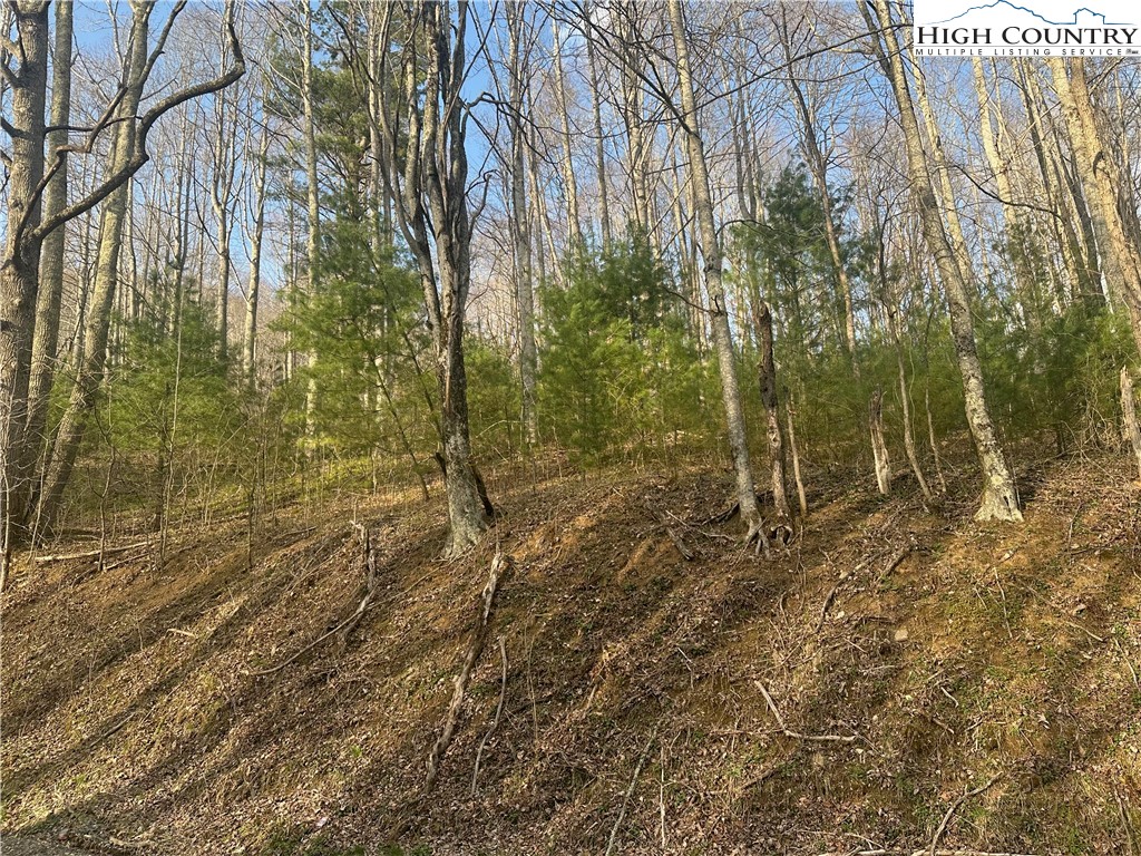 1476 John Alley Road Lansing, NC 28643 - Photo 10 of 50 Gallery Image 10