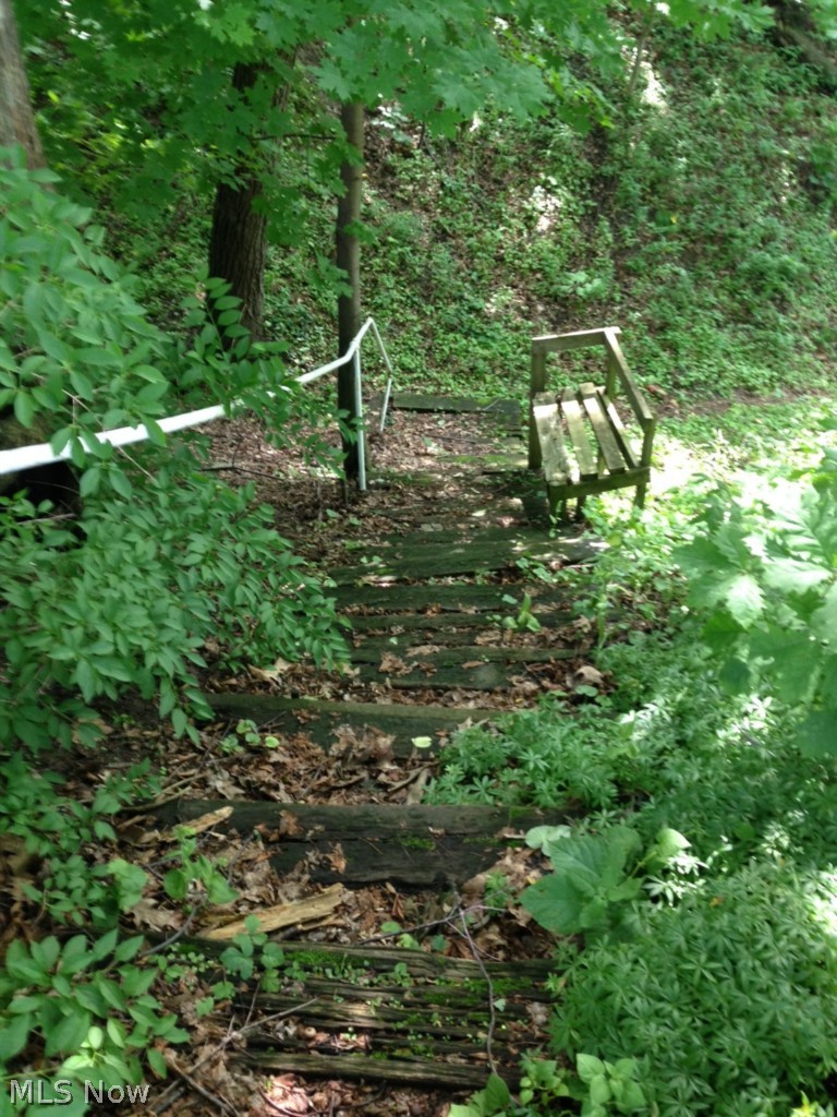 3331 Lake (rt 531) Road Ashtabula, OH 44004 - Photo 22 of 24 Wooded walkway to the shores of Lake Erie!