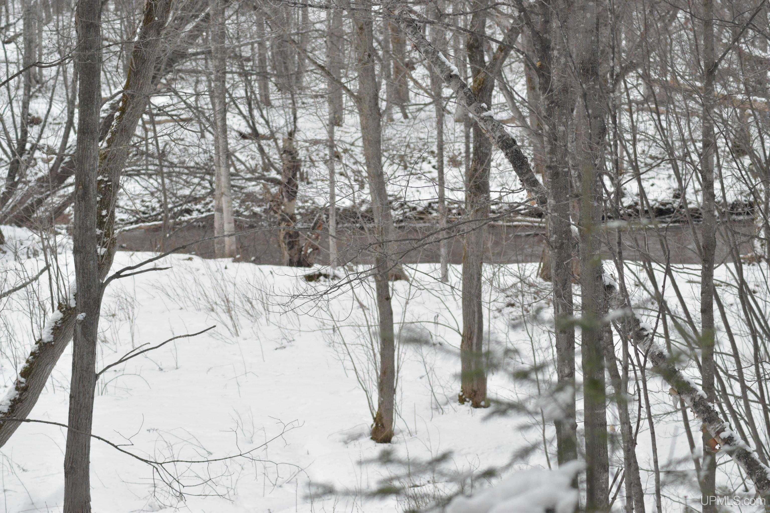 35200 L P Walsh Road Ontonagon, MI 49953 - Photo 12 of 15