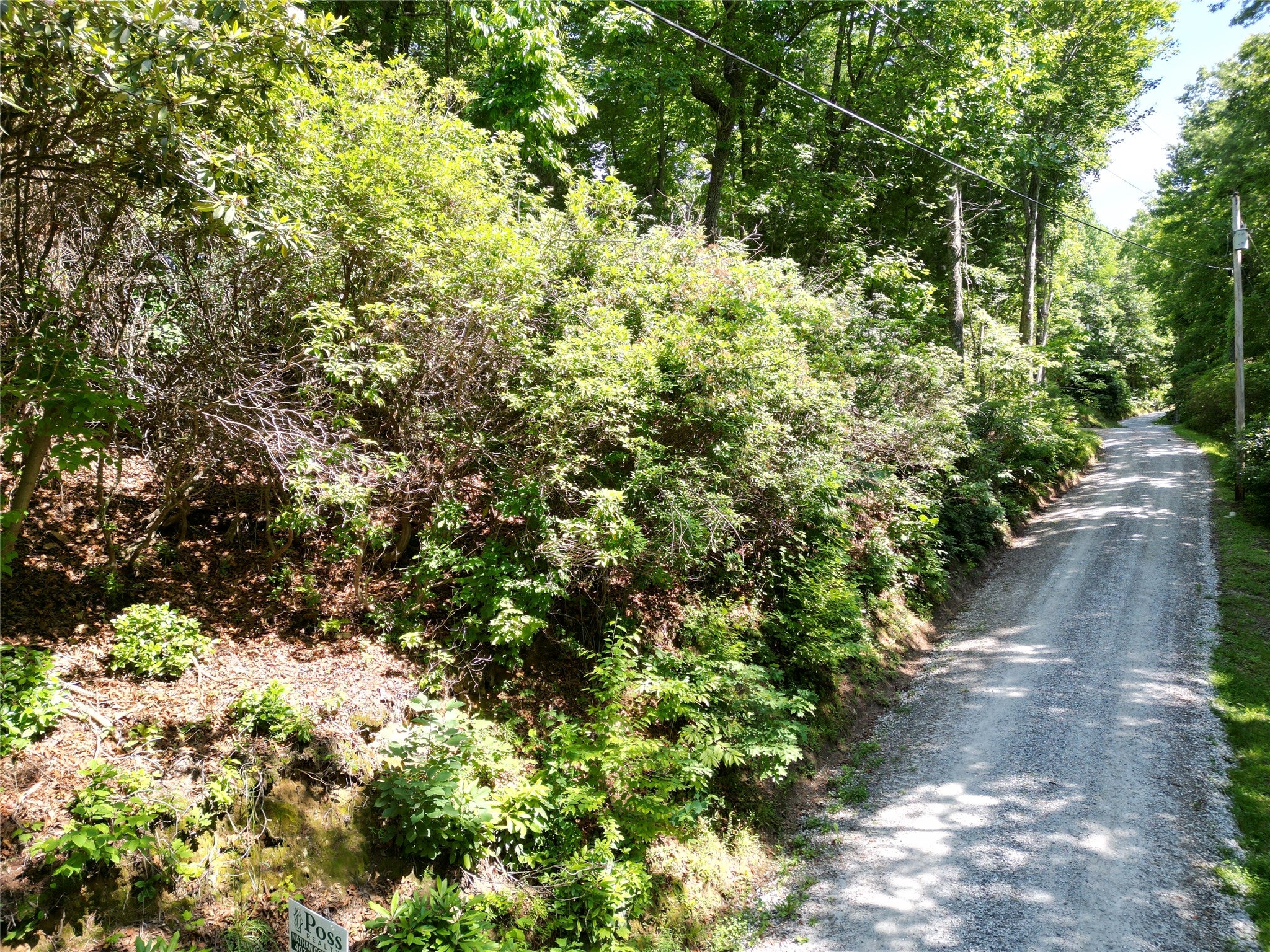 0 Old Bear Ridge Road Scaly Mountain, NC 28775 - Photo 6 of 7 Gallery Image 6