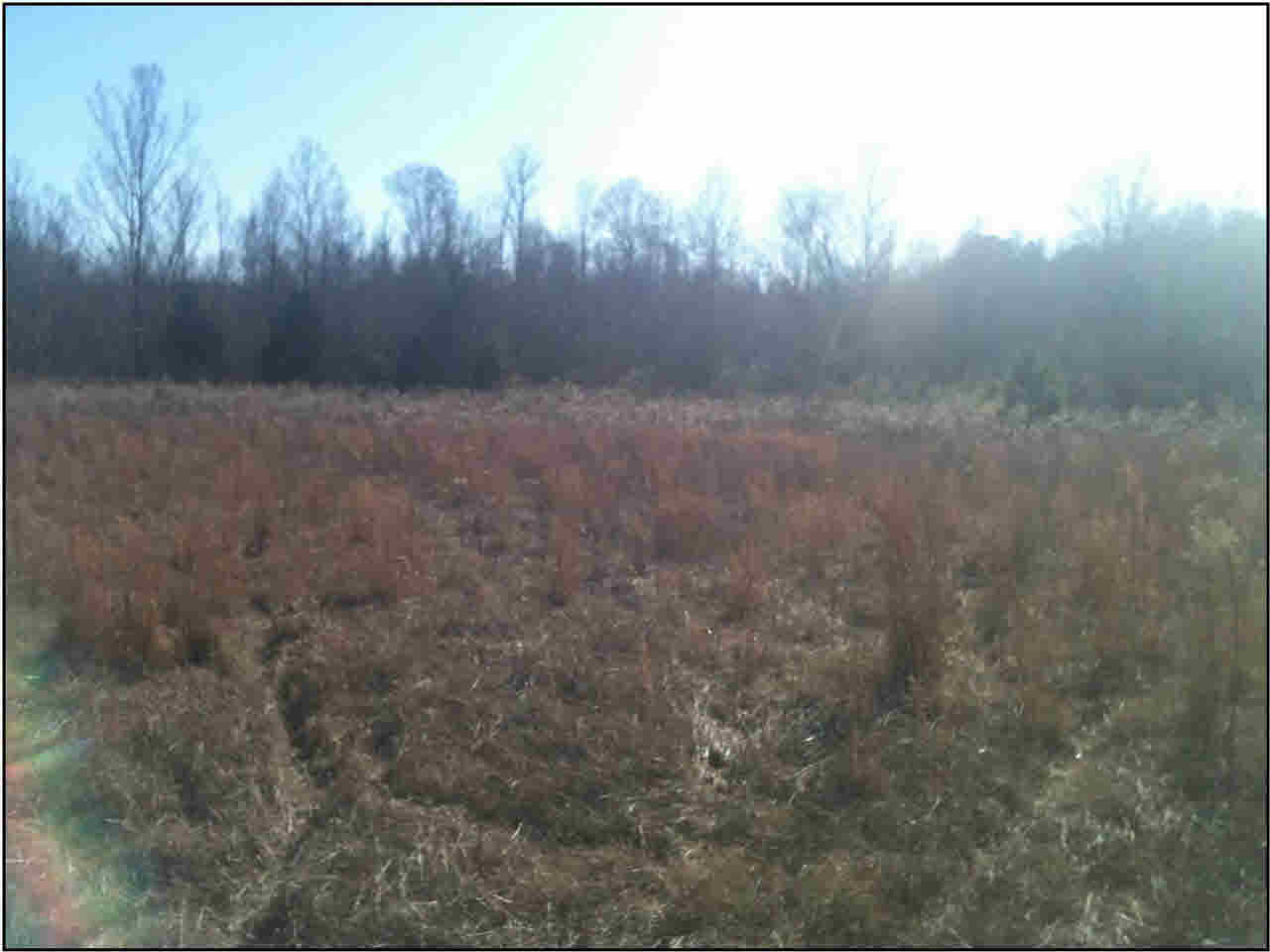 0 Howard Price Road Lexington, MS 39095 - Photo 1 of 7 Photo 1
