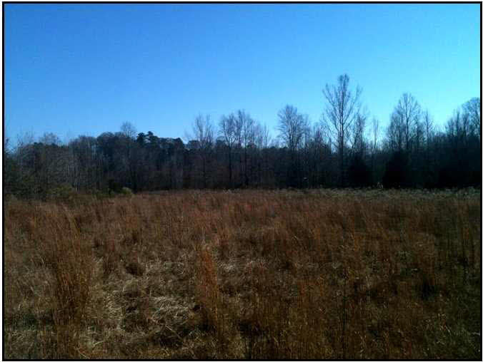 0 Howard Price Road Lexington, MS 39095 - Photo 2 of 7 Photo 2
