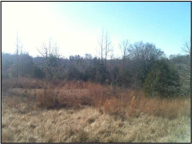 0 Howard Price Road Lexington, MS 39095 - Photo 3 of 7 Photo 3