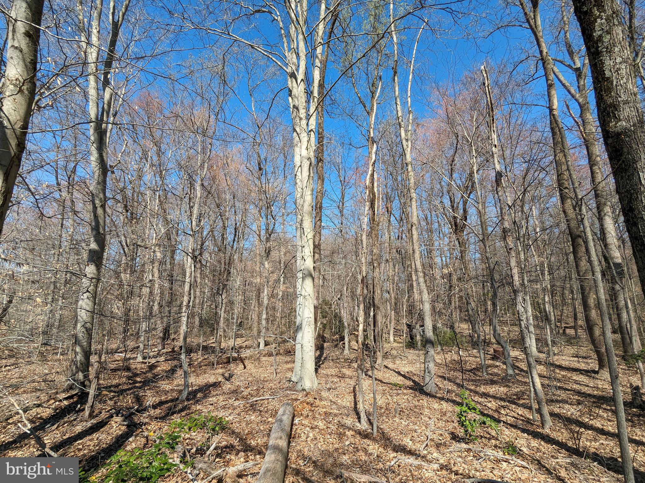 Lot 24 East Piscataway Subdivision