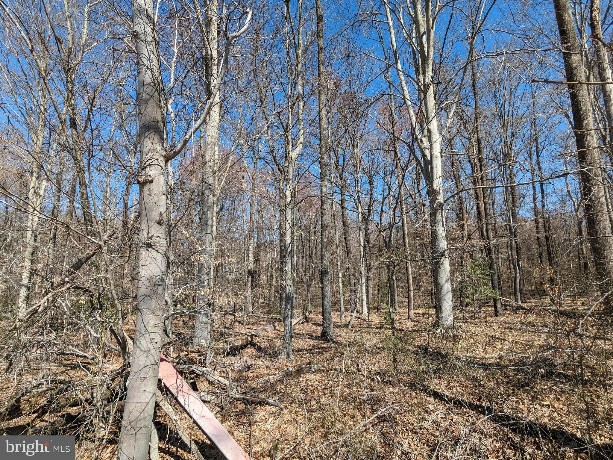 Lot 24 East Piscataway Subdivision