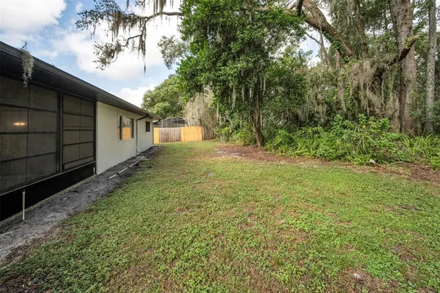 a view of backyard with tree