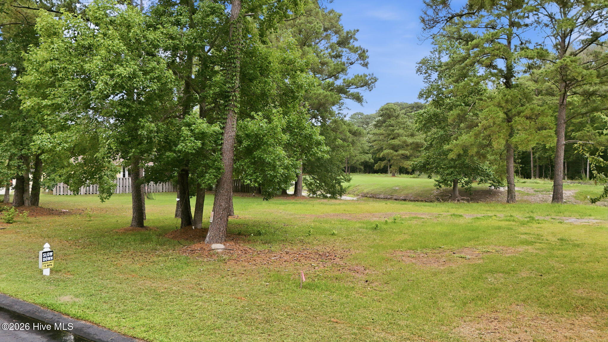 106 Cedar Tree Lane Southwest Calabash, NC 28467 - Photo 3 of 16