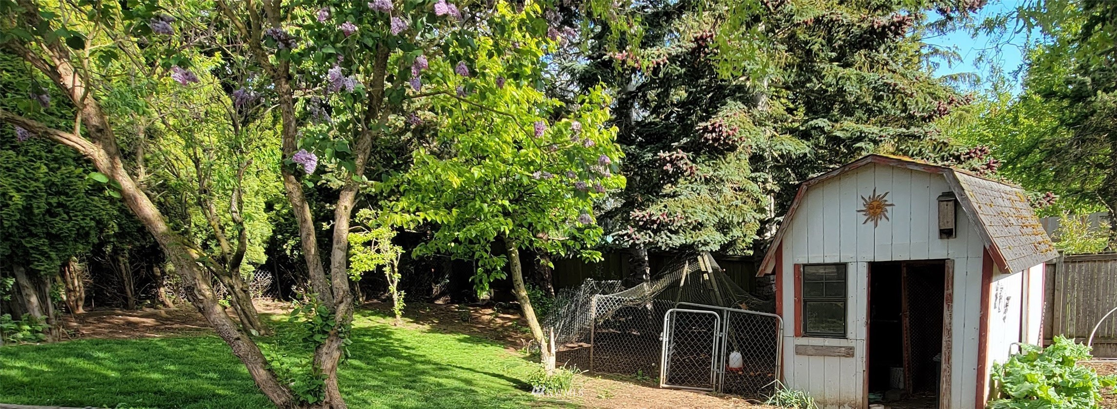 1224 Mission Road Everson, WA 98247 - Photo 25 of 30 a picture of a tree