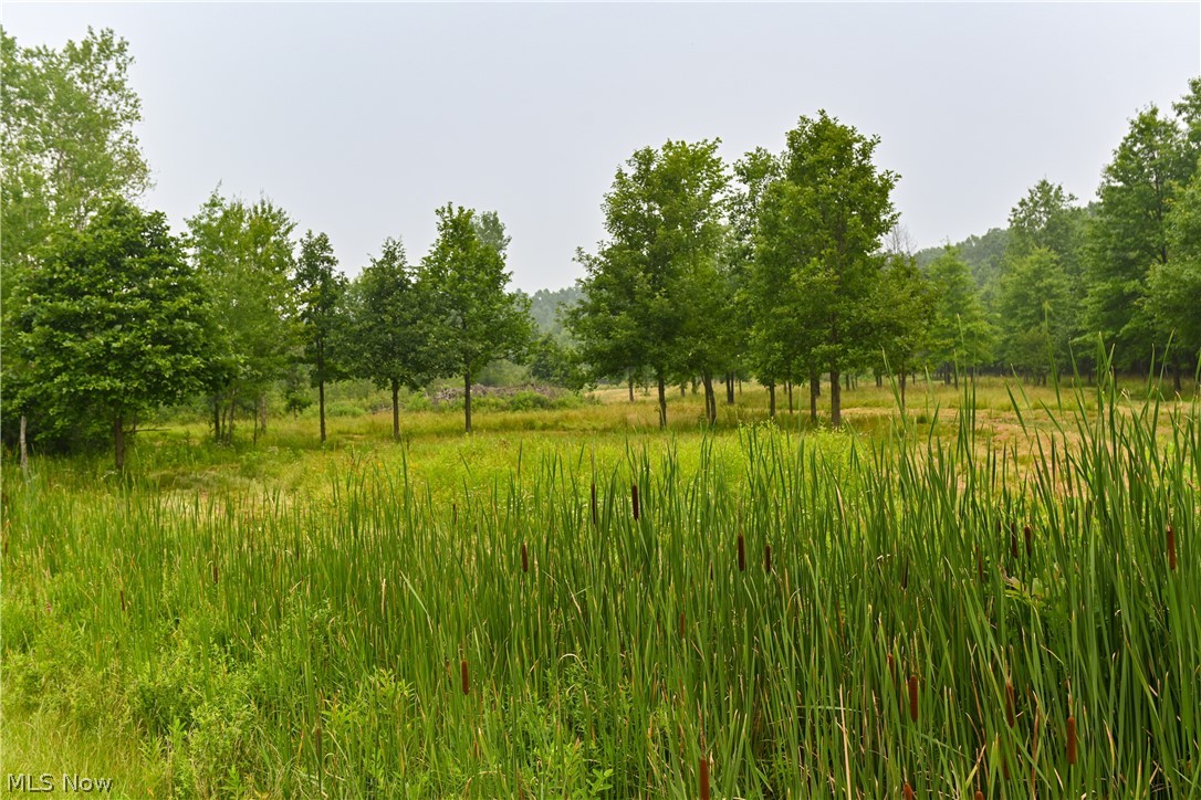 14 State Route Deerfield, OH 44411 - Photo 2 of 13 Gallery Image 2