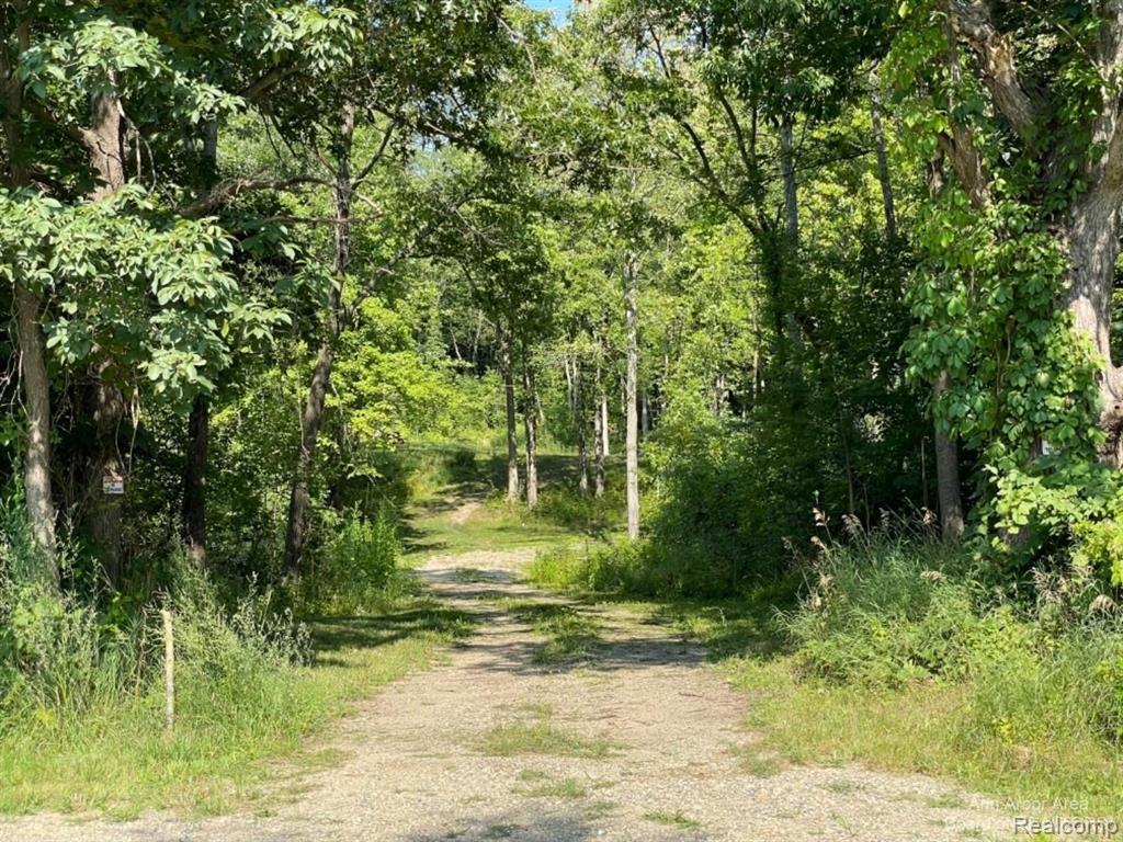 Vl Denton Hills Road Fenton, MI 48430 - Photo 1 of 21
