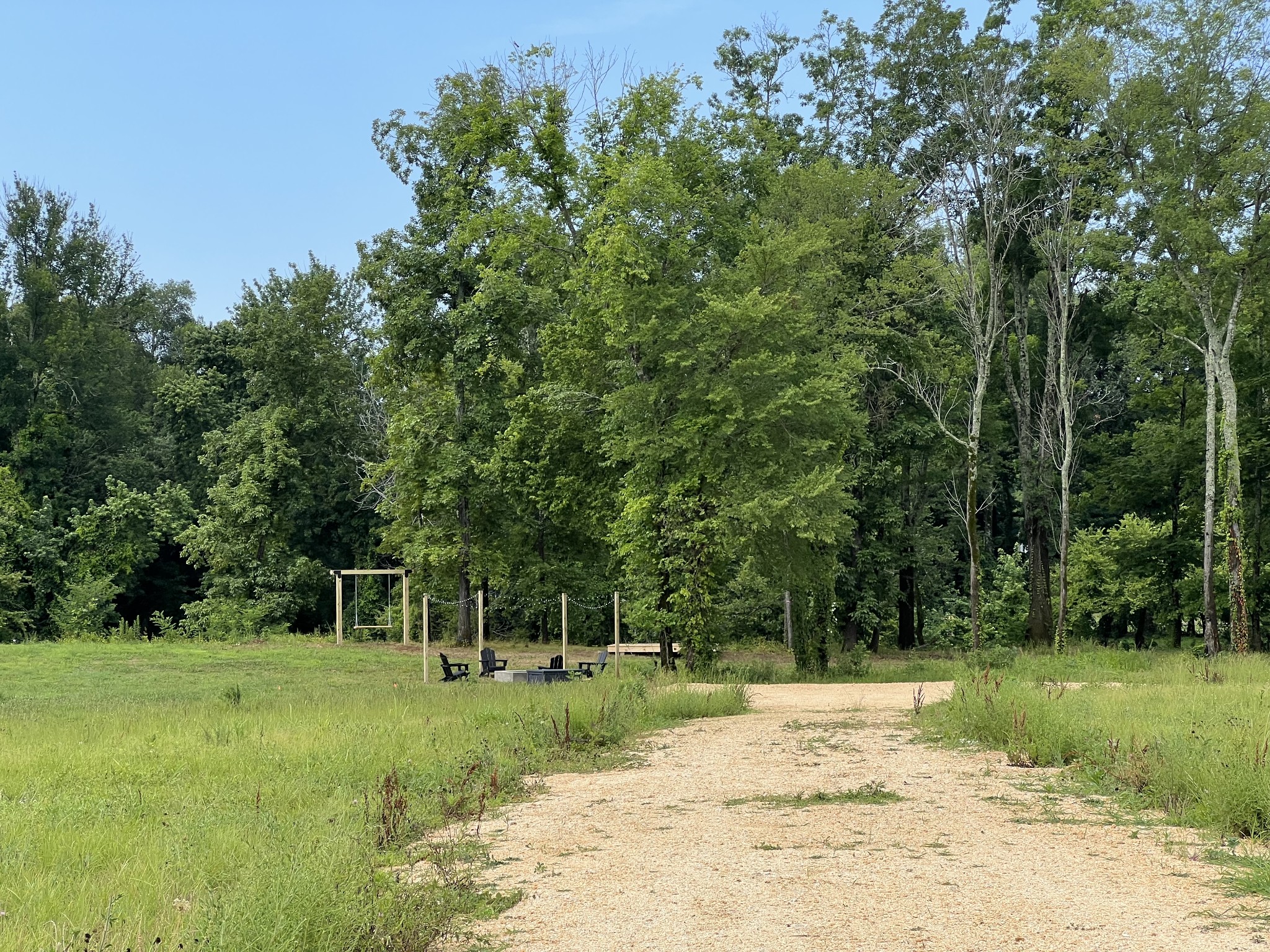 6725 Cravens Road Savannah, TN 38372 - Photo 10 of 11 a view of a tree in a yard