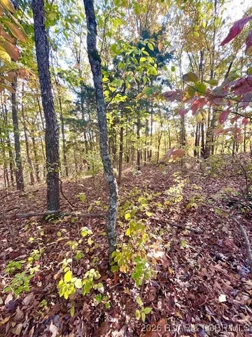 $26,895 | Lots#4-5 6 Lakewood Lane, Barnett, MO 65011