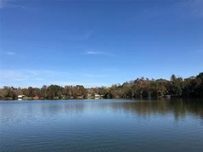 111 County Road 1333 Liberty, TX 77575 - Photo 25 of 32 a view of lake with green space
