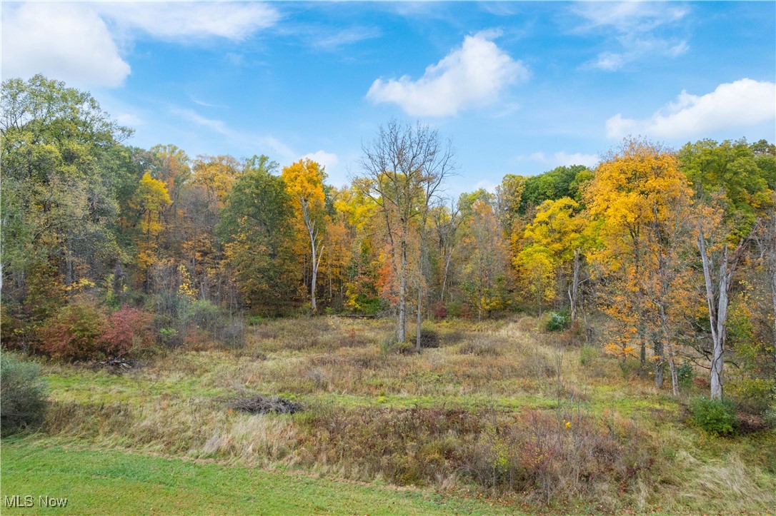2201 Ridgewood Road Medina, OH 44256 - Photo 46 of 50 View of local wilderness