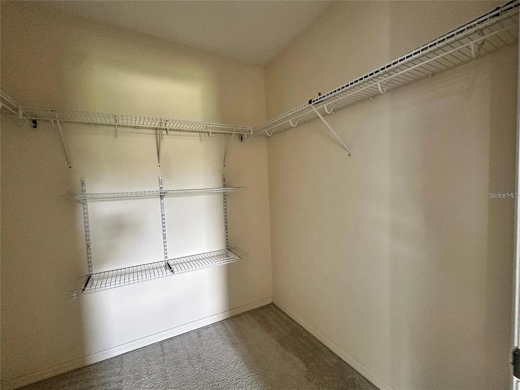 7232 Seedpod Loop Wesley Chapel, FL 33545 - Photo 33 of 60