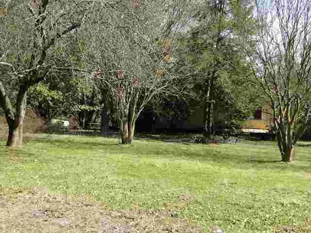 210 Rice Circle Anderson, SC 29625 - Photo 3 of 4