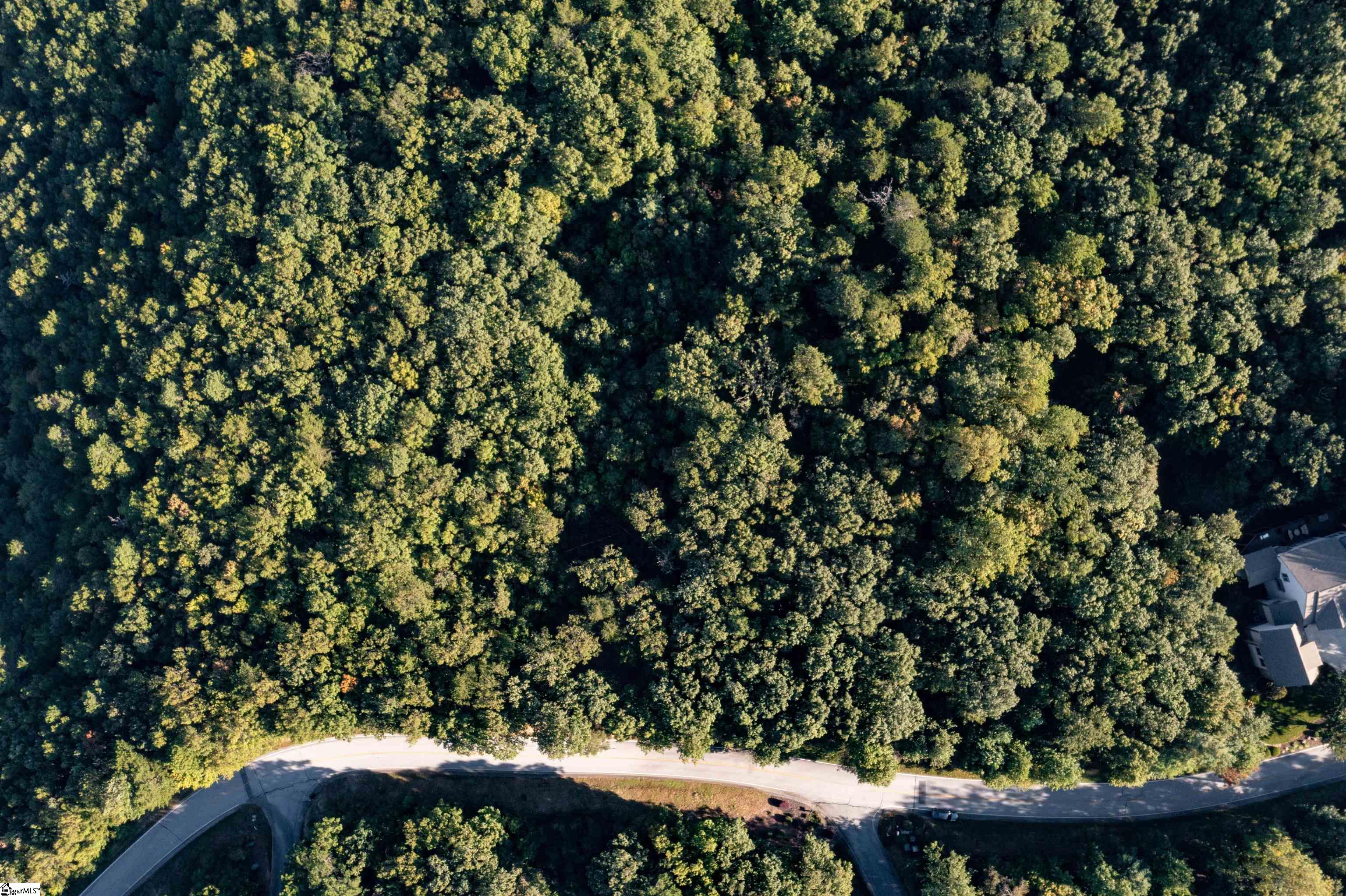 905 Mountain Summit Road Travelers Rest, SC 29690 - Photo 3 of 26