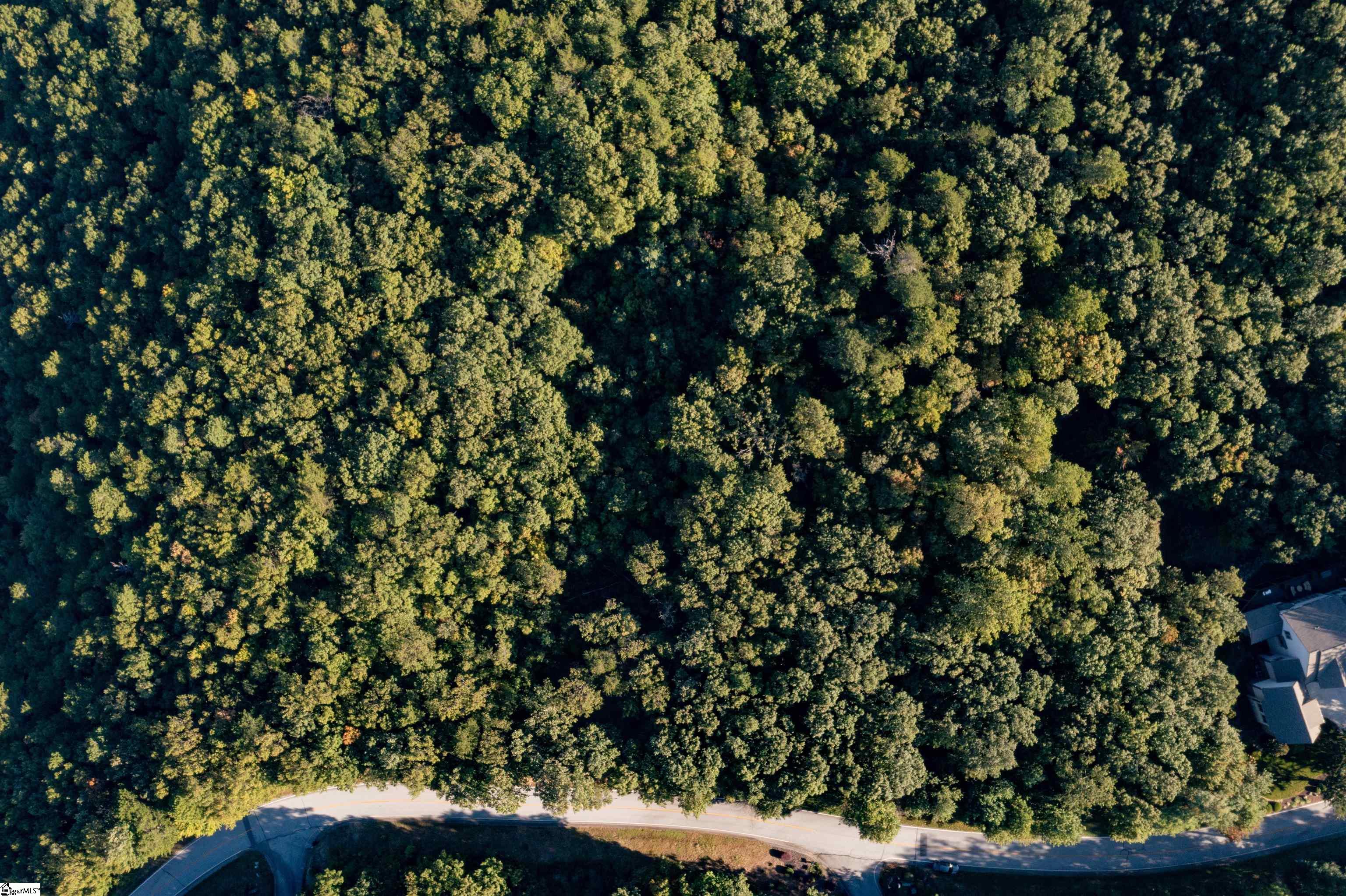 905 Mountain Summit Road Travelers Rest, SC 29690 - Photo 7 of 26