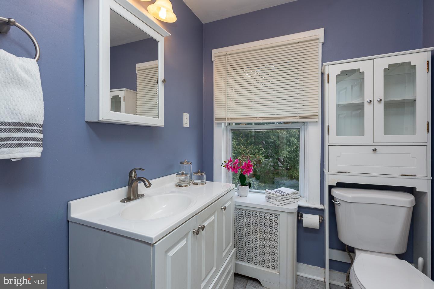2029 Laurel Road Havertown, PA 19083 - Photo 34 of 45 a bathroom with a sink toilet and a mirror