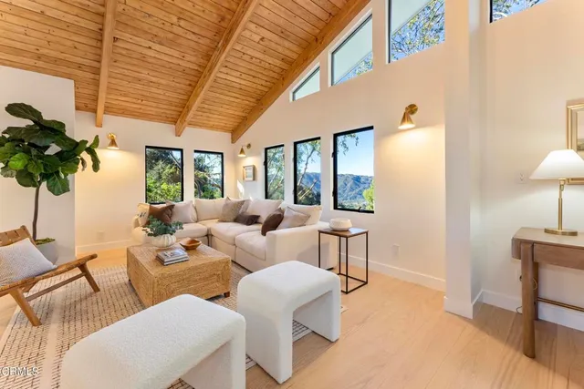 a living room with furniture a chandelier and a potted plant