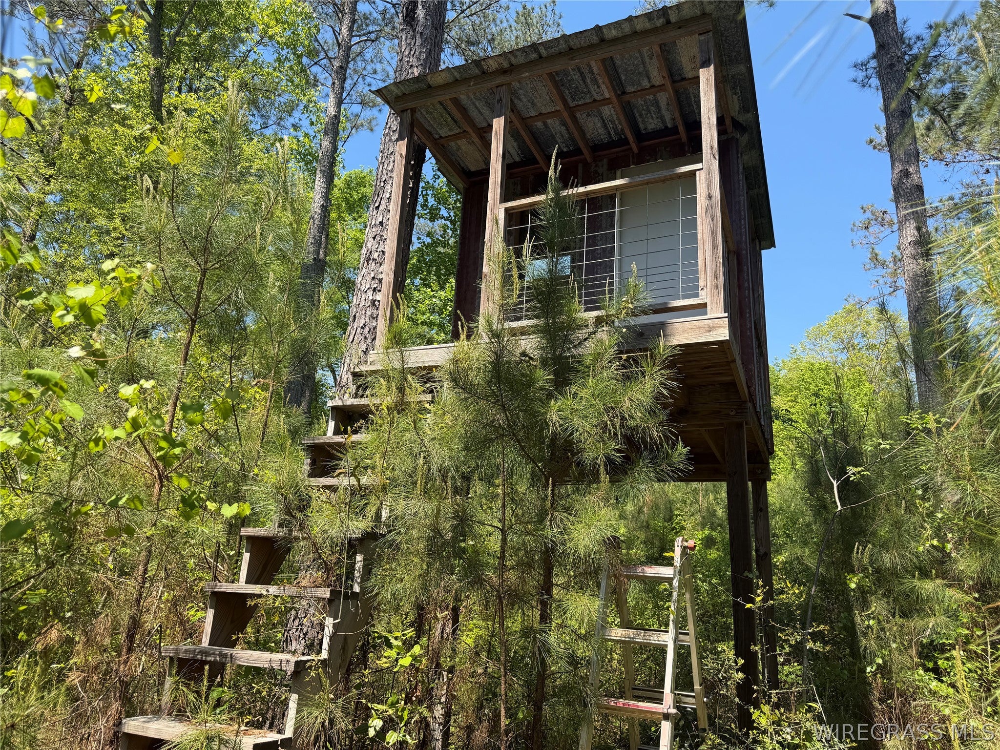 0 Leon Tower Road Dozier, AL 36028 - Photo 17 of 26 Gallery Image 17