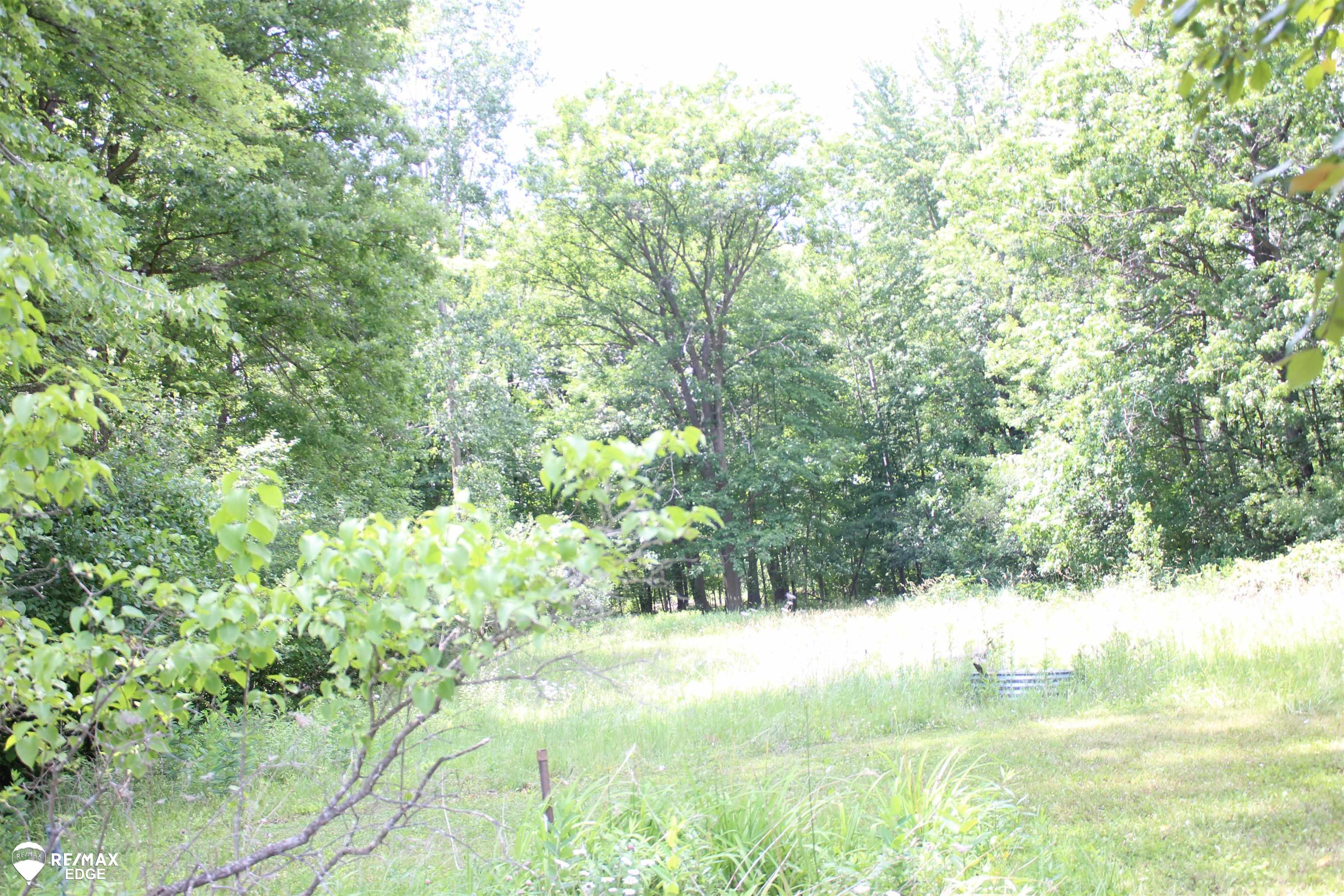 6680 Fort Road Birch Run, MI 48415 - Photo 17 of 17