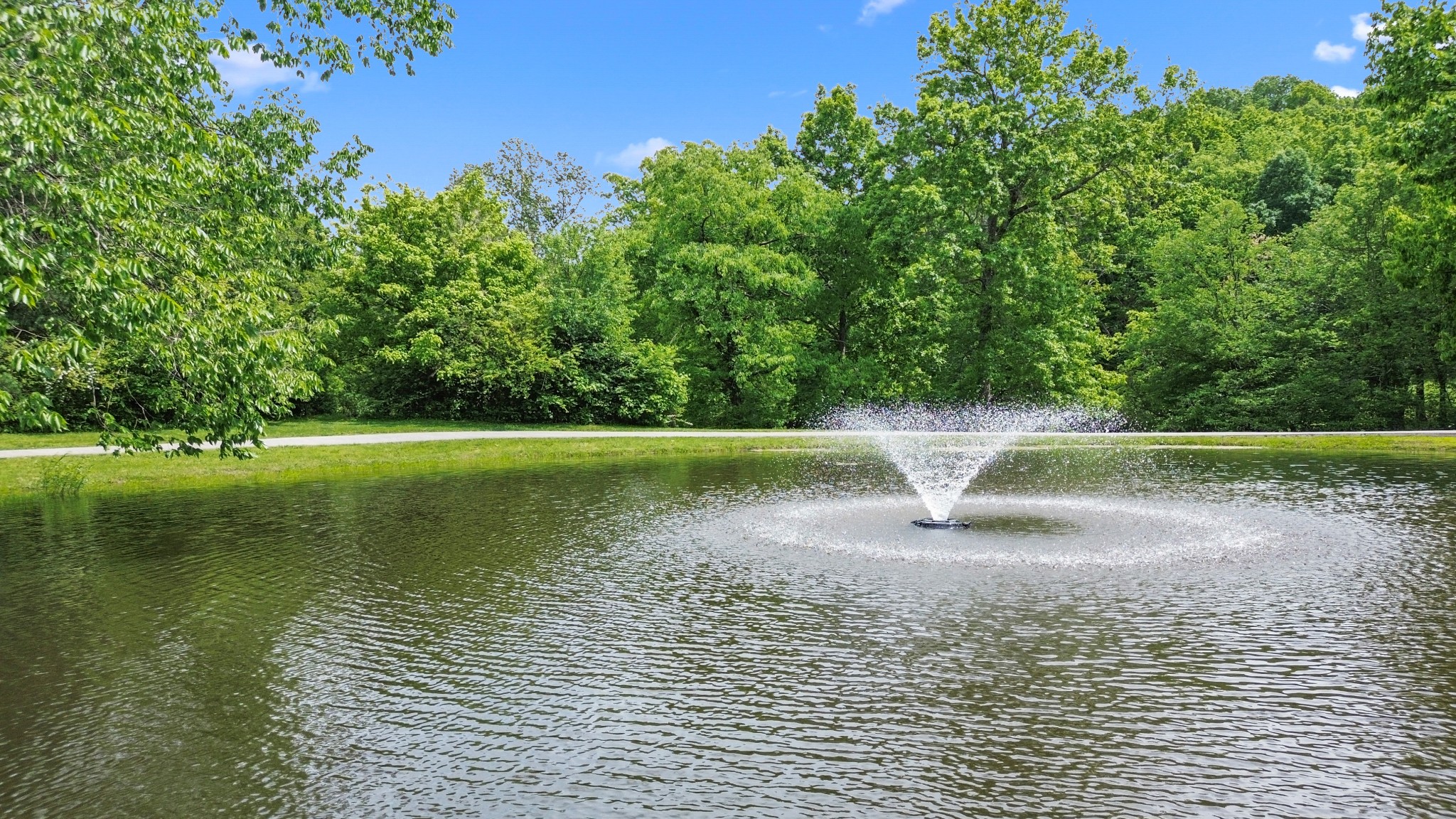 1708 Sugar Ridge Road Spring Hill, TN 37174 - Photo 57 of 59 a view of a park