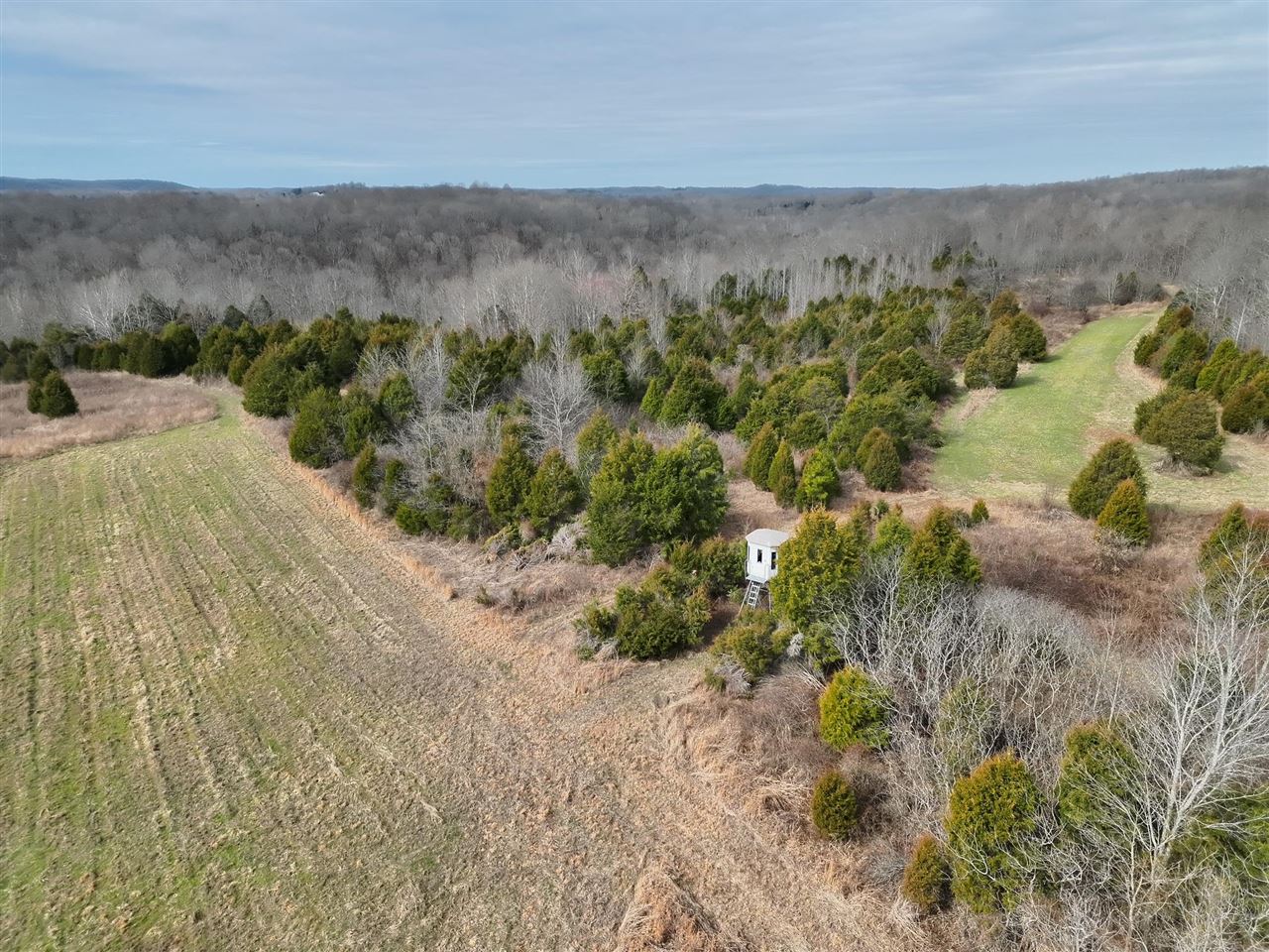 463 Charlie Shepard Road Morgantown, KY 42261 - Photo 5 of 81 Gallery Image 5