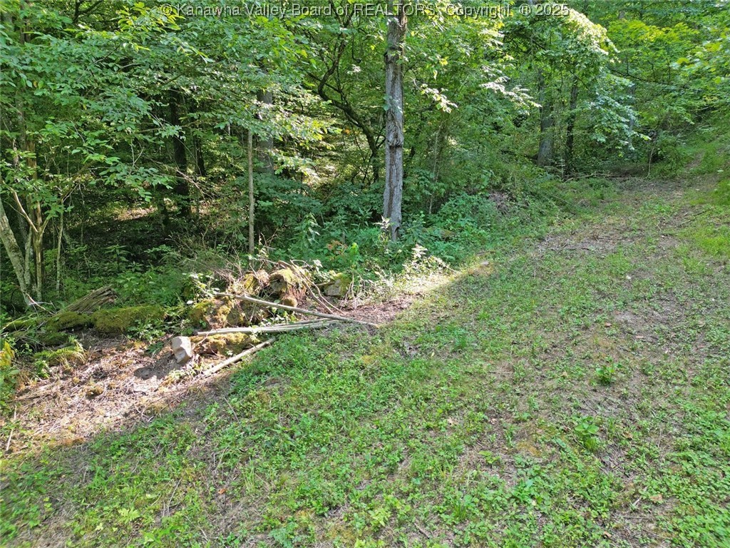 50 Island Branch Road Charleston, WV 25320 - Photo 13 of 14 Gallery Image 13