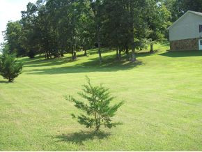 315 Whispering Road Greeneville, TN 37743 - Photo 3 of 15 Photo 3