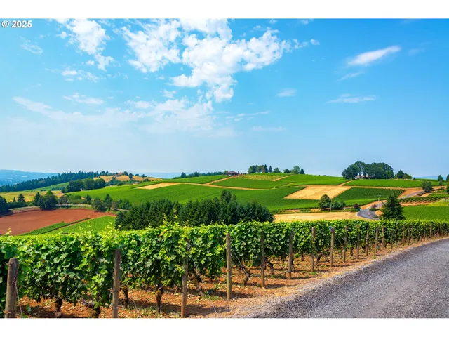 a view of a lake with a park